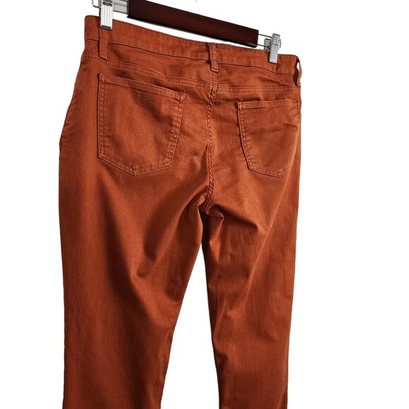 Eileen Fisher Stretch Denim SIZE 4 Low Rise straight jeans pants casual Rust - Picture 3 of 7